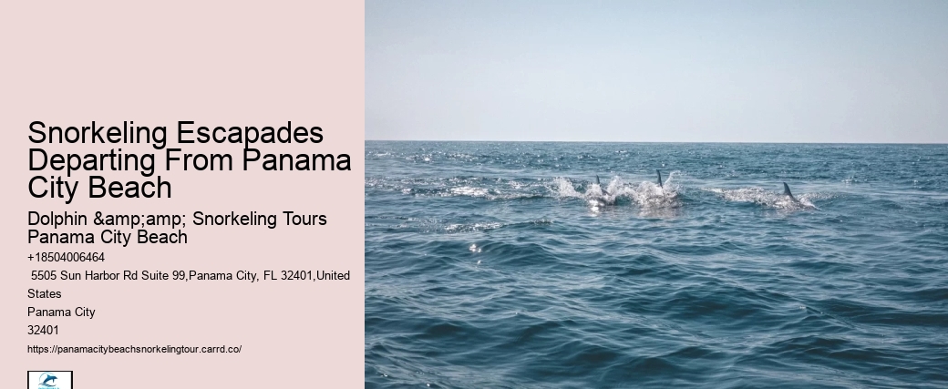 Dolphin And Snorkeling Tours Panama City Beach Beach