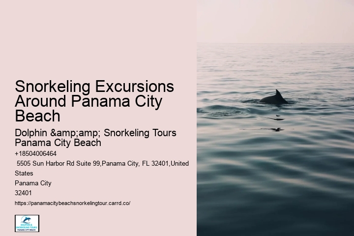 Panama City Beach Beach Snorkeling Tours