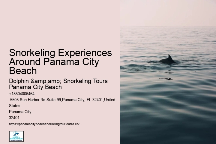 Panama City Beach Snorkel Exploration Excursions