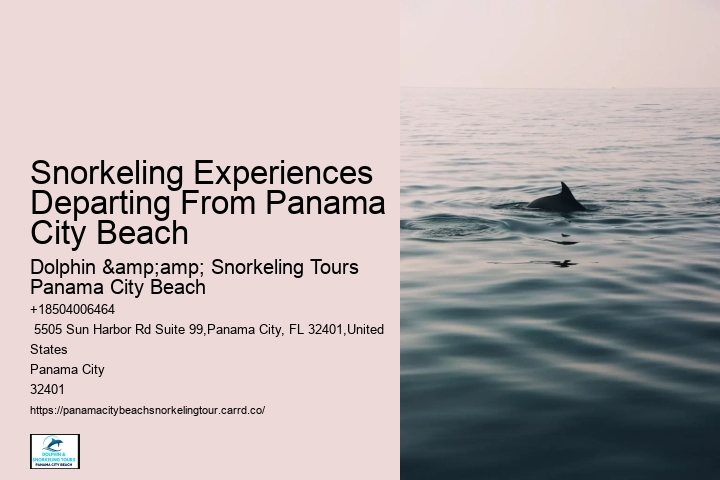 Panama City Beach Snorkeling Tours Jobs
