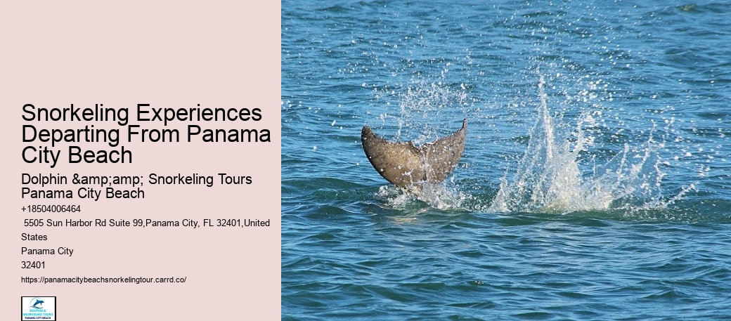 Panama City Beach Snorkeling Tours Tips