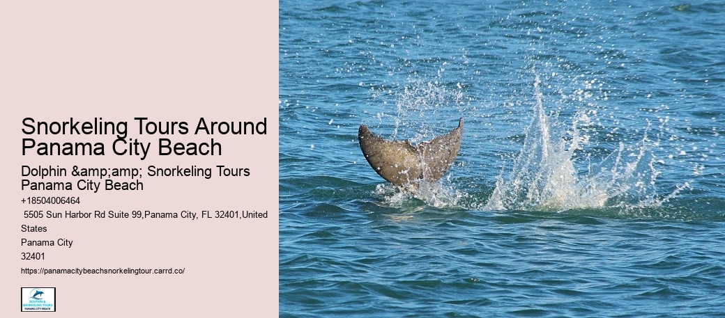 Panama City Beach Snorkel Discovery Cruises