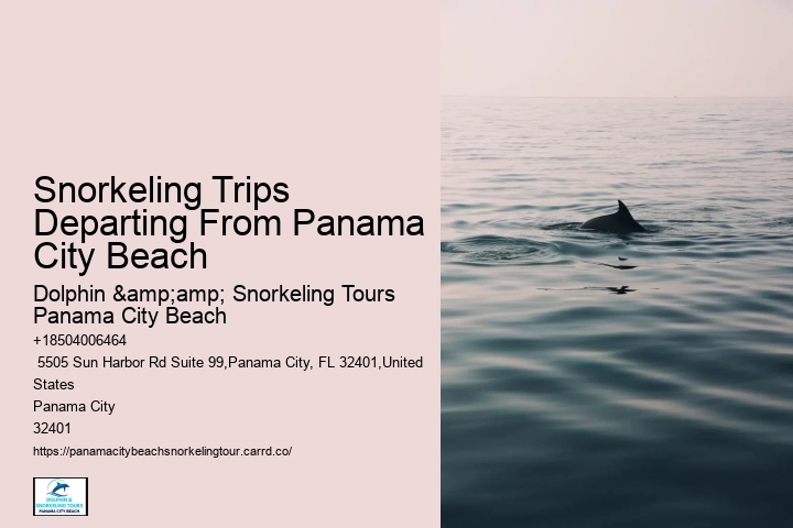 Panama City Beach Snorkel Exploration Tours