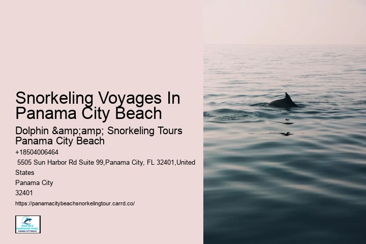 Snorkeling Experiences Departing From Panama City Beach