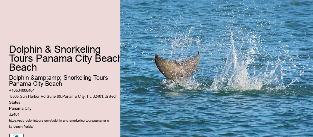 Snorkeling Trips Departing From Panama City Beach