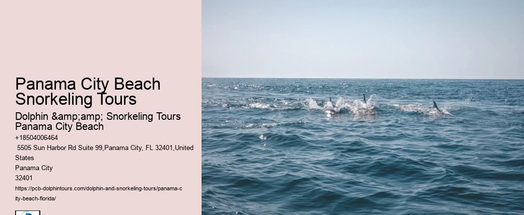 Panama City Beach Snorkeling Tours Xtr