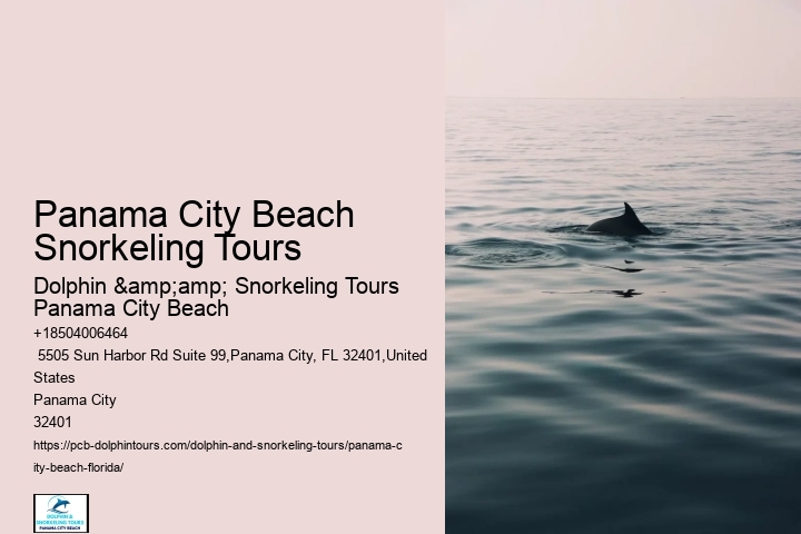 Rental Panama City Beach