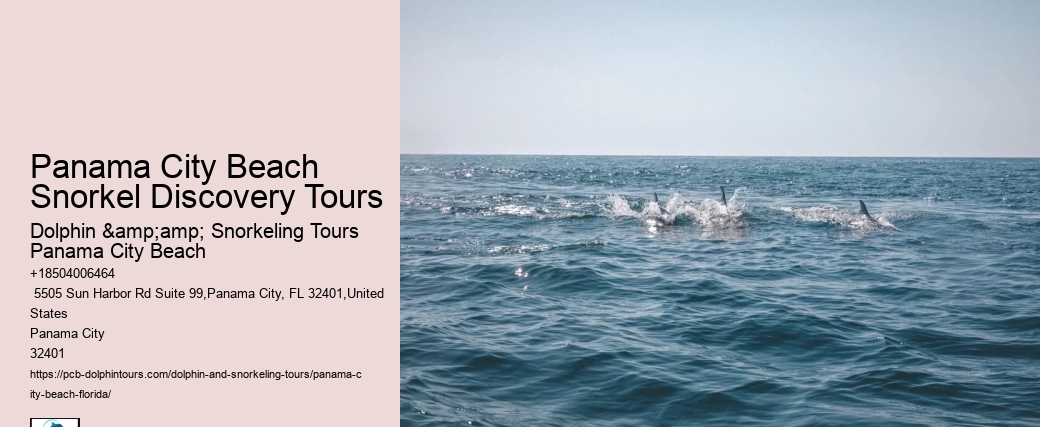 Panama City Beach Snorkel Discovery Tours