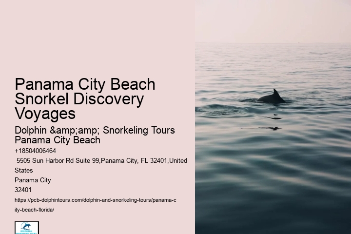 Panama City Beach Snorkel Discovery Voyages