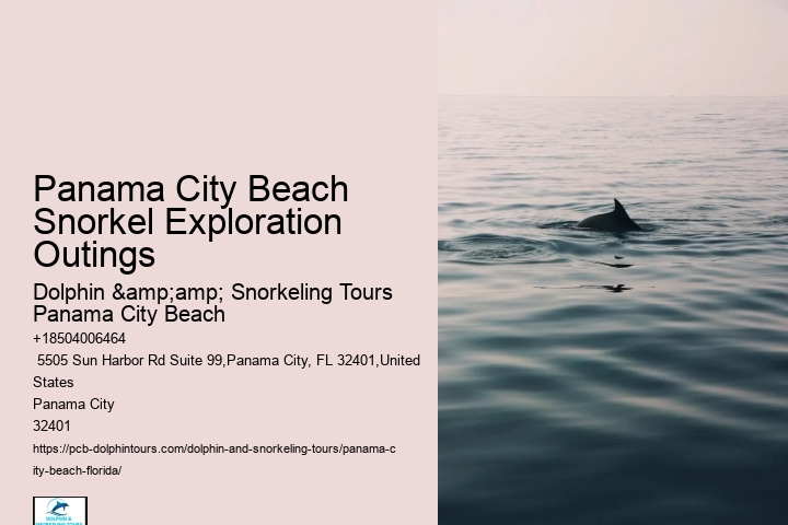Panama City Beach Snorkel Exploration Outings