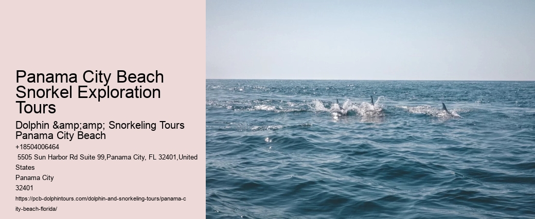Panama City Beach Snorkel Exploration Tours