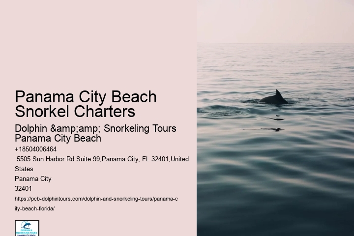 Panama City Beach Snorkel Charters