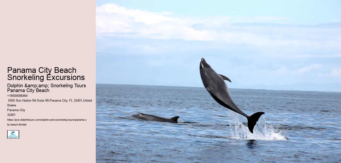 Panama City Beach Snorkeling Excursions