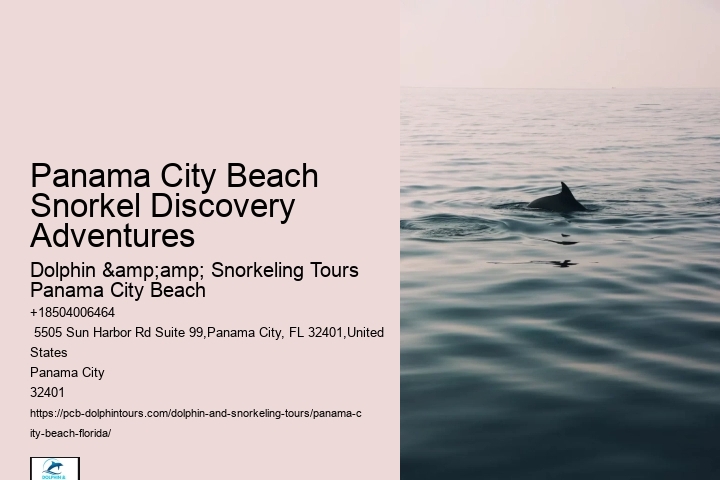 Snorkeling Trips Departing From Panama City Beach