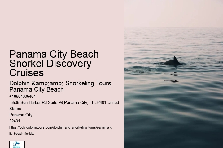 Snorkeling Escapades Departing From Panama City Beach