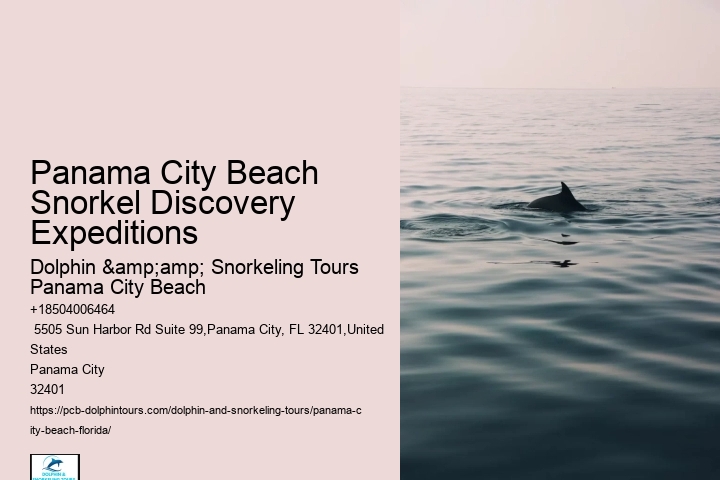 Snorkeling Charters Departing From Panama City Beach