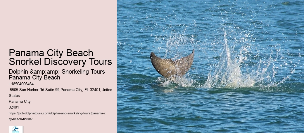 Panama City Beach Snorkeling Tours Lanai