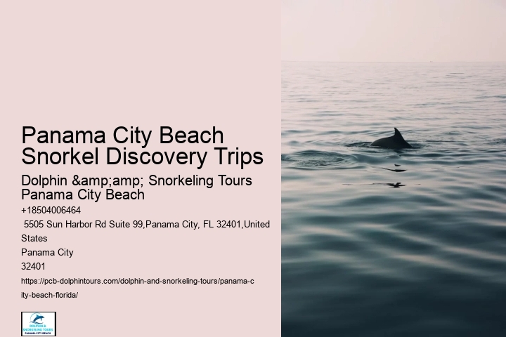 Best Places To Snorkel In Panama City Beach Beach