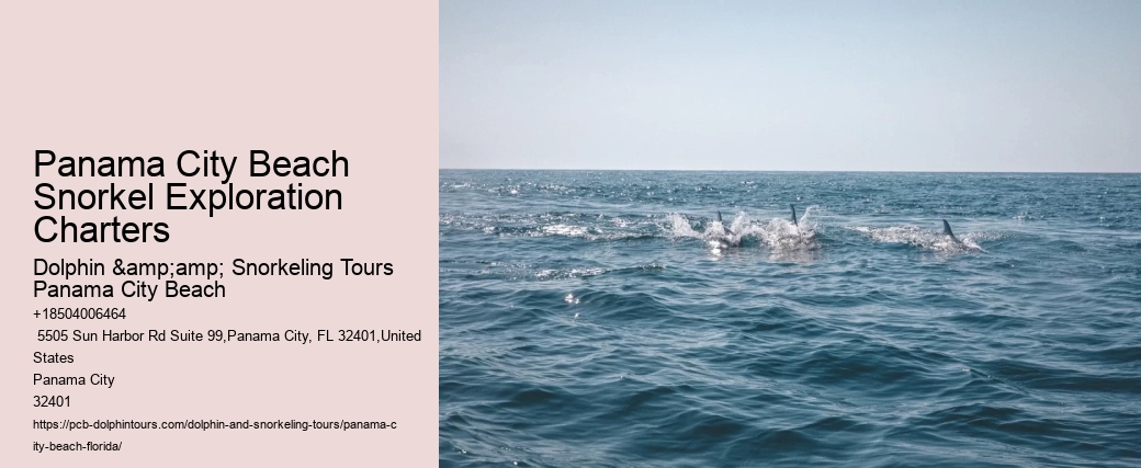 Panama City Beach Snorkeling Tours 920