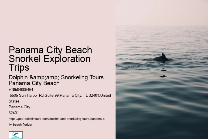 Panama City Beach Snorkeling Tours Marketing