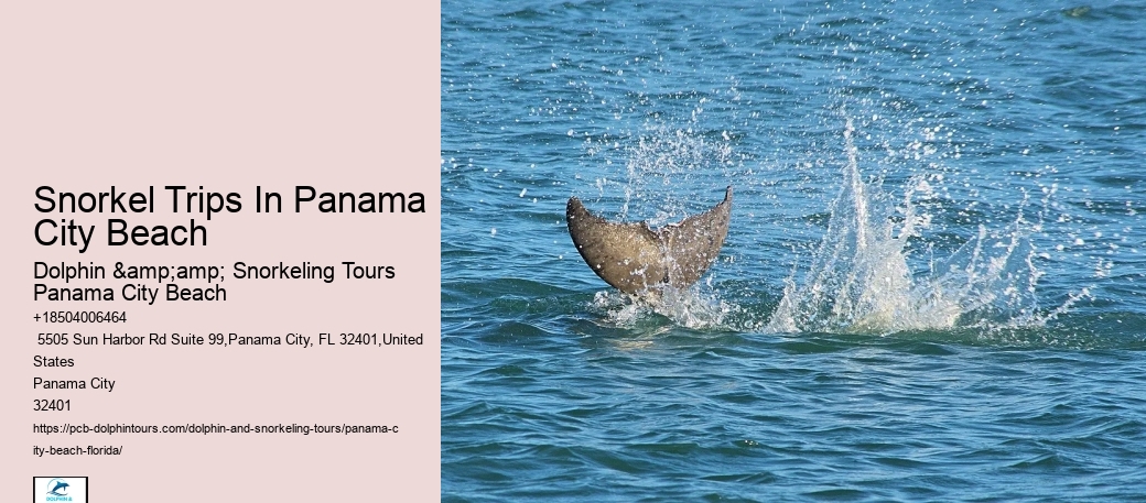 Panama City Beach Snorkeling Tours Locations