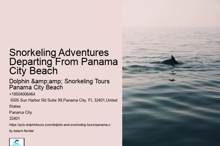 Panama City Beach Snorkeling Tours De