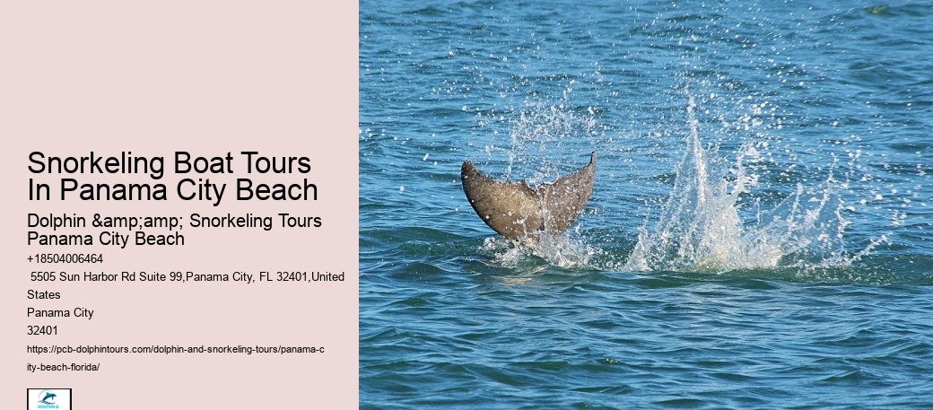 Panama City Beach Snorkeling Tours 320
