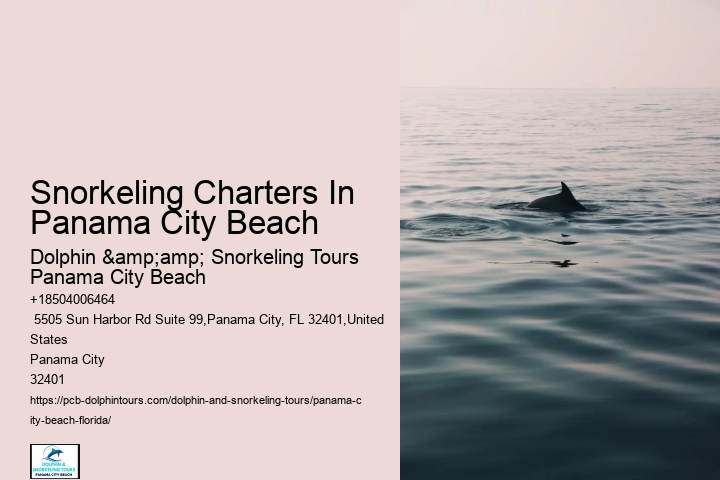 Snorkeling Charters In Panama City Beach