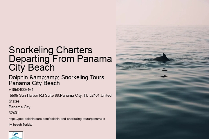 Panama City Beach Snorkel Discovery Trips