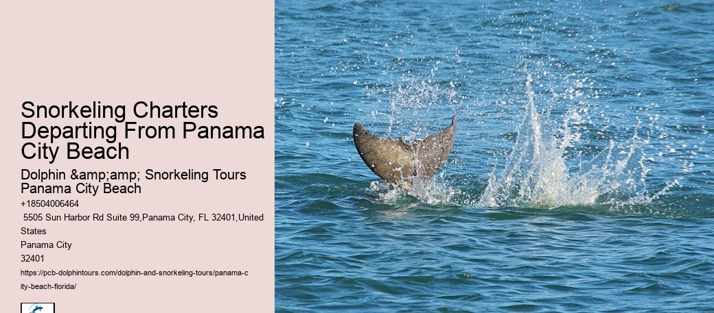 Panama City Beach Snorkeling Tours August