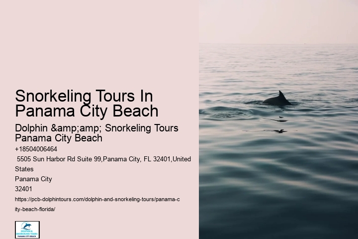 Snorkeling Tours In Panama City Beach