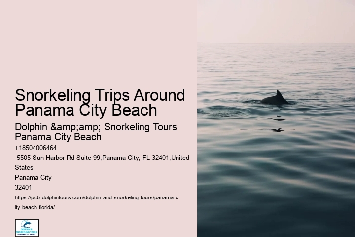 Snorkeling Trips Around Panama City Beach